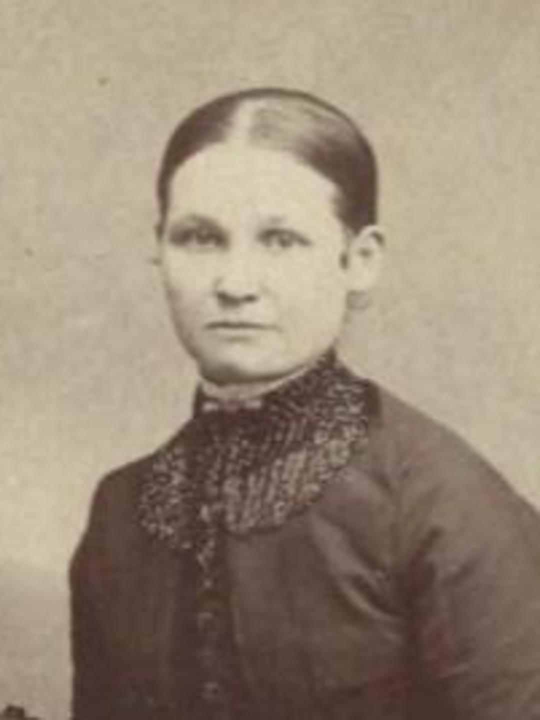 Ann Elizabeth Bovee (1829 - 1869) Profile